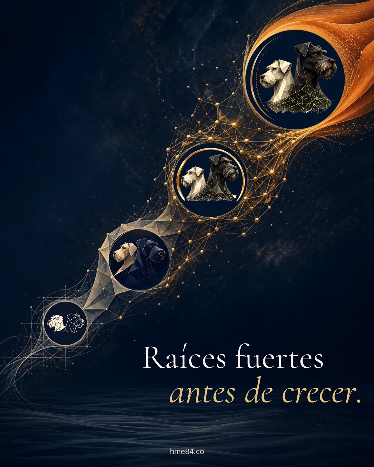 Evolución de la marca HME84: cuatro versiones del emblema, de un trazo simple al actual, con el lema «Raíces fuertes antes de crecer».